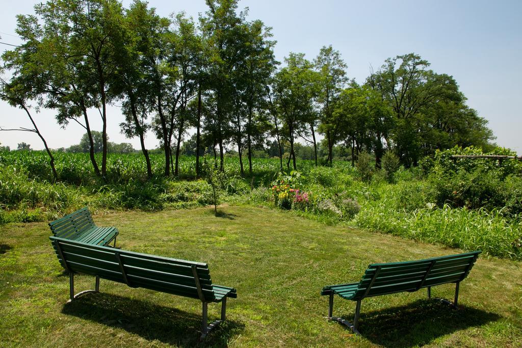 ヴィットゥオーネ Cascina Delle Mele Bed & Breakfast エクステリア 写真